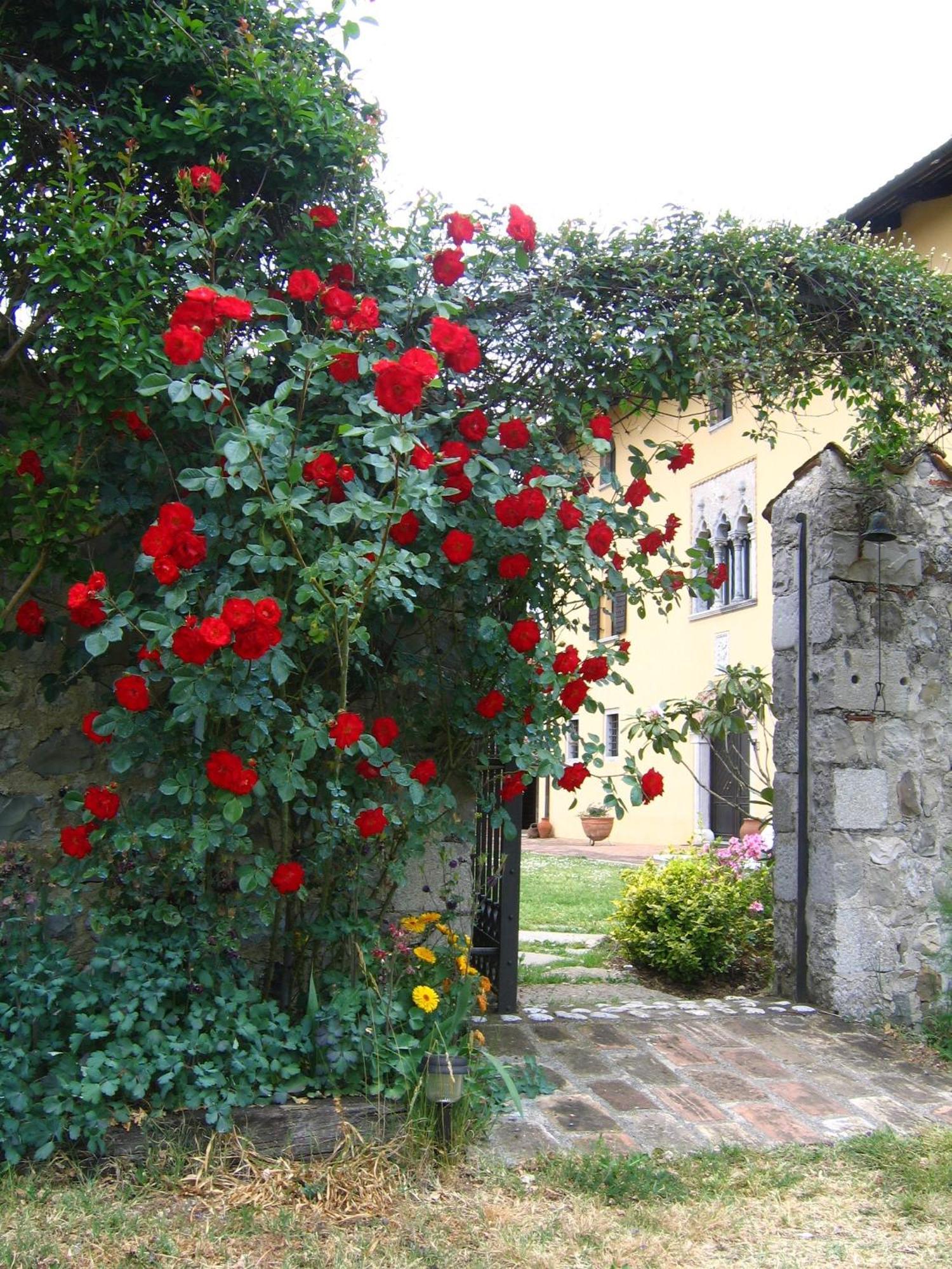 Agriturismo Domus Magna Povoletto Exterior foto